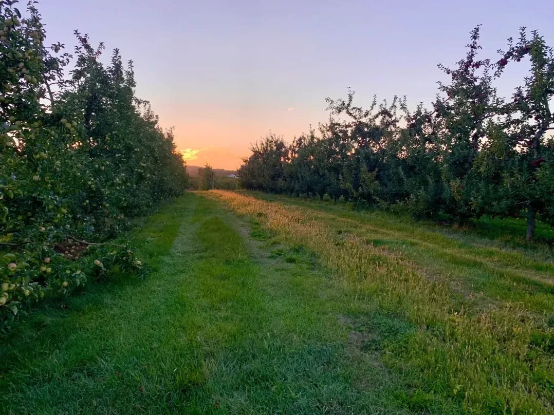 Greenhollow Orchard 15